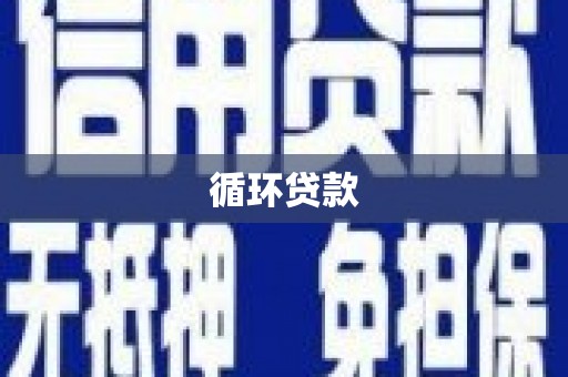 施秉循环贷款