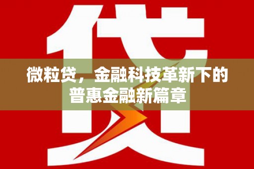六合微粒贷，金融科技革新下的普惠金融新篇章