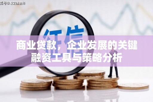 桃山商业贷款，企业发展的关键融资工具与策略分析