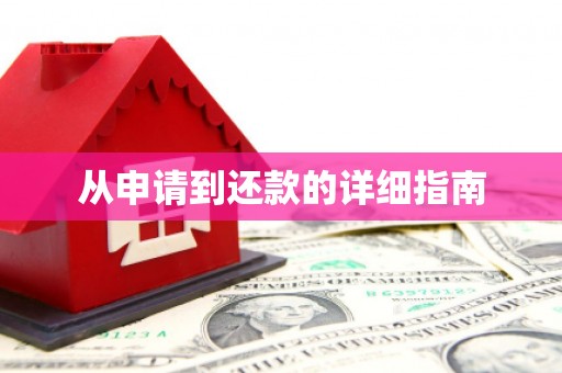 林西从申请到还款的详细指南