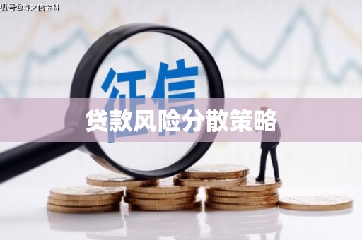 柳河贷款风险分散策略