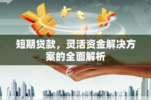 仁和短期贷款，灵活资金解决方案的全面解析