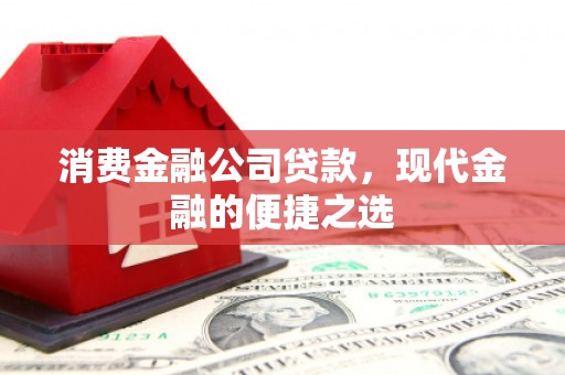 龙沙消费金融公司贷款，现代金融的便捷之选