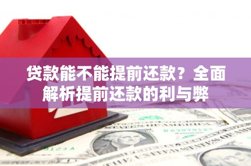 衡东贷款能不能提前还款？全面解析提前还款的利与弊