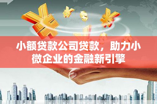 珲春小额贷款公司贷款，助力小微企业的金融新引擎