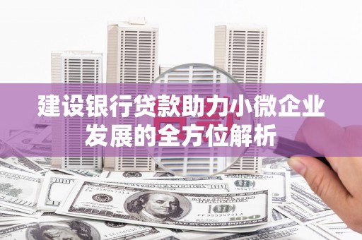 卢氏建设银行贷款助力小微企业发展的全方位解析