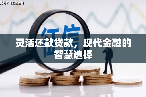 琼结灵活还款贷款，现代金融的智慧选择