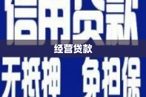 云龙经营贷款