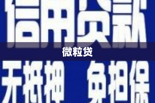 稻城微粒贷
