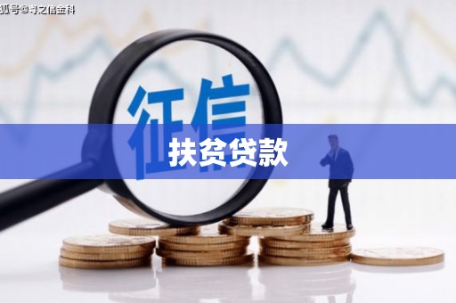 昌宁扶贫贷款