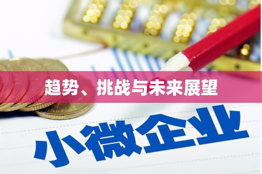 莱城趋势、挑战与未来展望