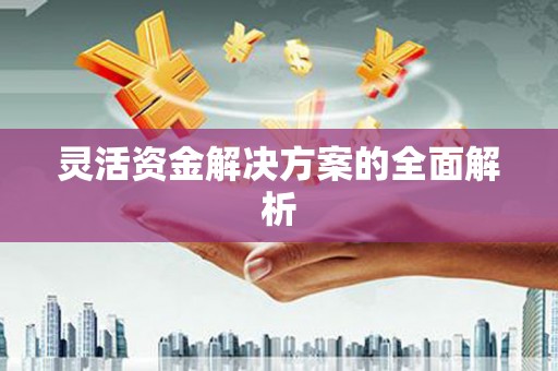 磐安灵活资金解决方案的全面解析