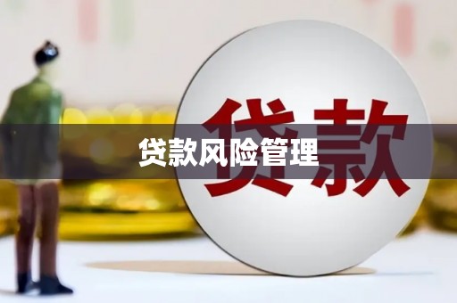 浔阳贷款风险管理
