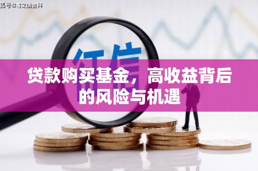 泾县贷款购买基金，高收益背后的风险与机遇